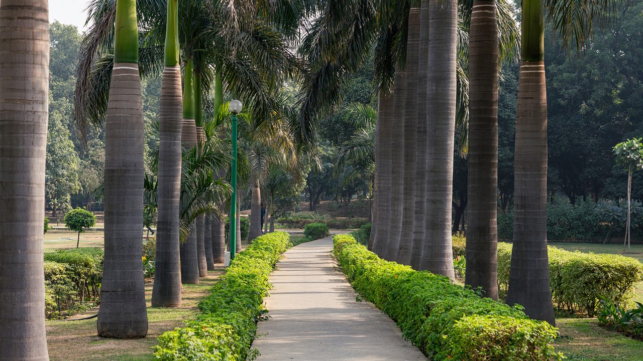 Gardens & Relaxation Spots